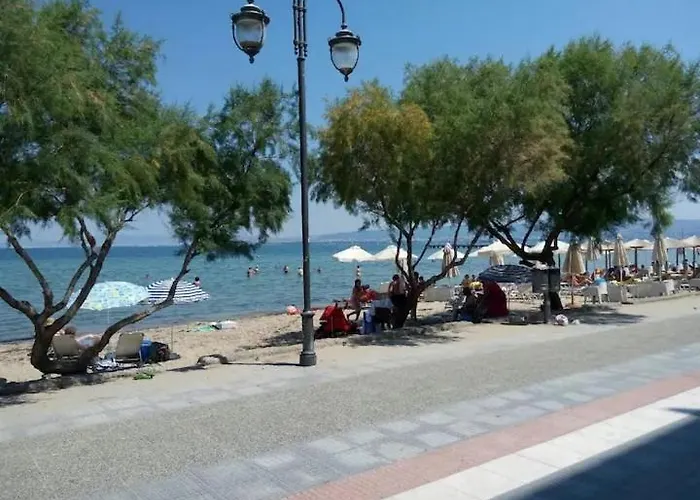 Coral By The Sea نيوي إيبيفاتاي