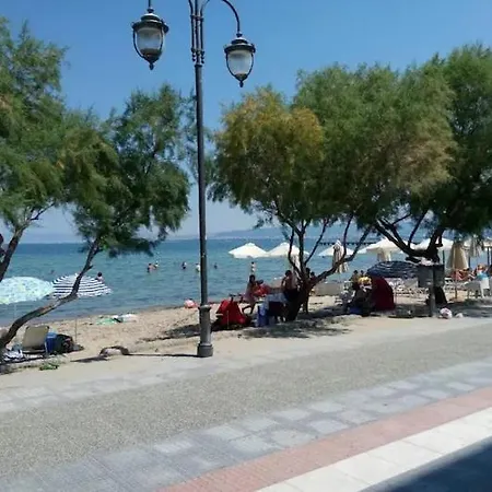 Coral By The Sea Neo Epivates